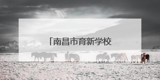 南昌市育新学校临江校区开展端午节系列教育活动