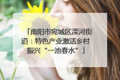 南阳市宛城区溧河街道：特色产业激活乡村振兴“一池春水”