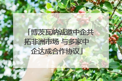 博茨瓦纳诚邀中企共拓非洲市场 与多家中企达成合作协议
