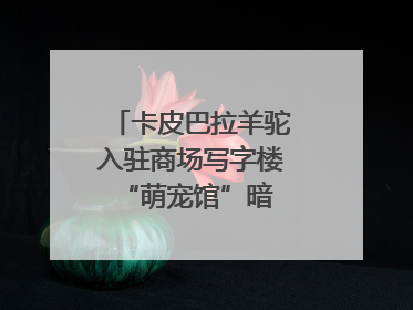 卡皮巴拉羊驼入驻商场写字楼 “萌宠馆”暗藏哪些隐患？