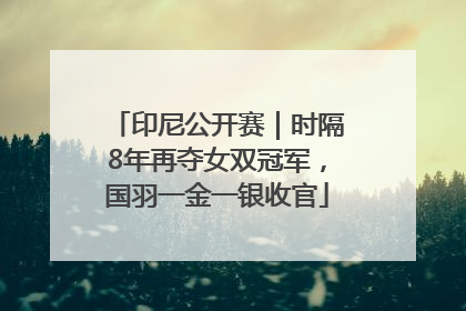 印尼公开赛｜时隔8年再夺女双冠军，国羽一金一银收官