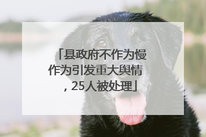 县政府不作为慢作为引发重大舆情，25人被处理