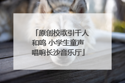 原创校歌引千人和鸣 小学生童声唱响长沙音乐厅