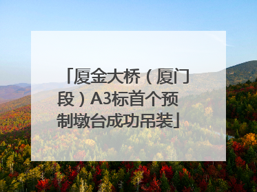 厦金大桥（厦门段）A3标首个预制墩台成功吊装