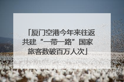 厦门空港今年来往返共建“一带一路”国家旅客数破百万人次