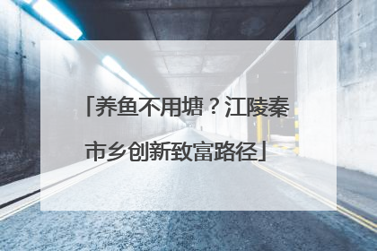 养鱼不用塘？江陵秦市乡创新致富路径