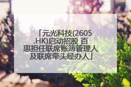 元光科技(2605.HK)启动招股 百惠担任联席账簿管理人及联席牵头经办人