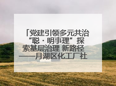 党建引领多元共治 “聪・明事理”探索基层治理 新路径——月湖区化工厂社区新实践