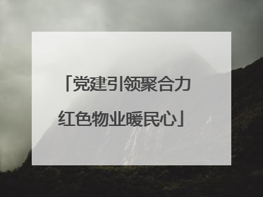党建引领聚合力 红色物业暖民心