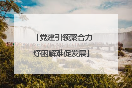 党建引领聚合力 纾困解难促发展