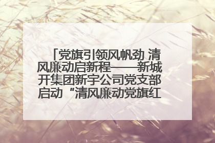 党旗引领风帆劲 清风廉动启新程——新城开集团新宇公司党支部启动“清风廉动党旗红”系列活动