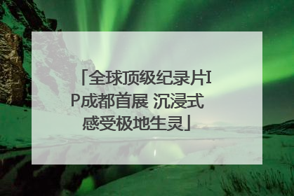 全球顶级纪录片IP成都首展 沉浸式感受极地生灵