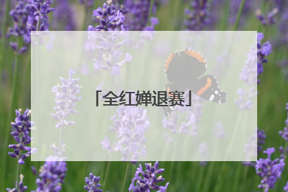 全红婵退赛