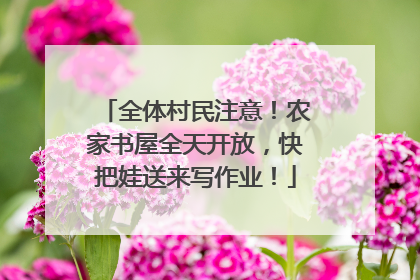 全体村民注意！农家书屋全天开放，快把娃送来写作业！