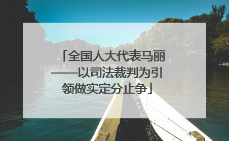 全国人大代表马丽——以司法裁判为引领做实定分止争