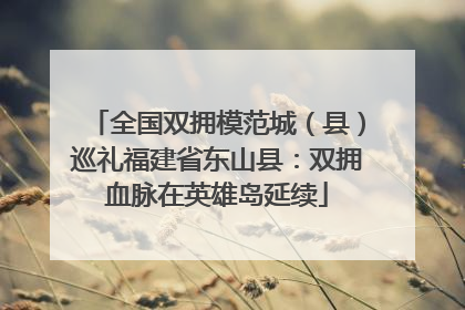 全国双拥模范城（县）巡礼福建省东山县：双拥血脉在英雄岛延续