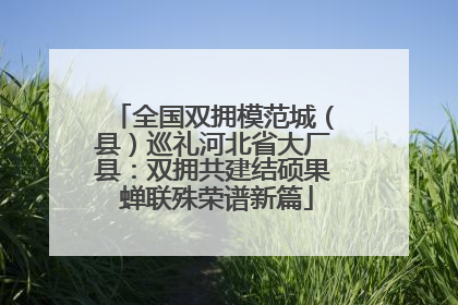 全国双拥模范城（县）巡礼河北省大厂县：双拥共建结硕果 蝉联殊荣谱新篇