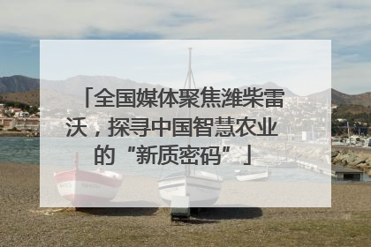 全国媒体聚焦潍柴雷沃，探寻中国智慧农业的“新质密码”