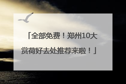 全部免费！郑州10大赏荷好去处推荐来啦！