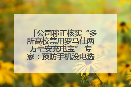 公司称正核实“多所高校禁用罗马仕两万毫安充电宝” 专家：预防手机没电选中等体积产品即可