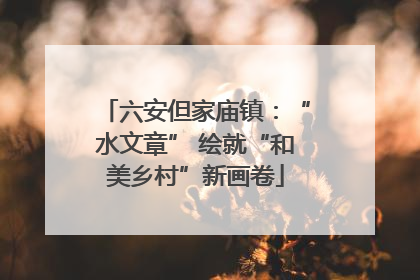 六安但家庙镇：“水文章” 绘就“和美乡村”新画卷