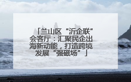 兰山区“沂企联”会客厅：汇聚民企出海新动能，打造跨境发展“强磁场”