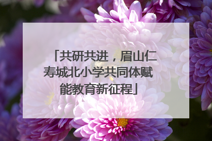 共研共进，眉山仁寿城北小学共同体赋能教育新征程