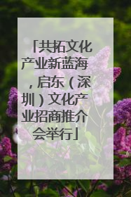 共拓文化产业新蓝海，启东（深圳）文化产业招商推介会举行