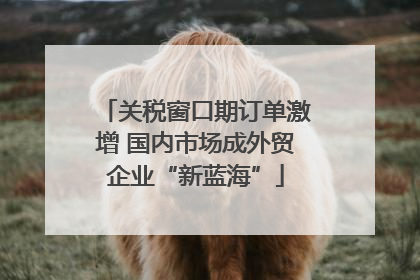 关税窗口期订单激增 国内市场成外贸企业“新蓝海”
