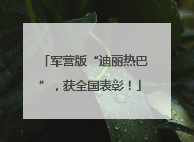 军营版“迪丽热巴”，获全国表彰！