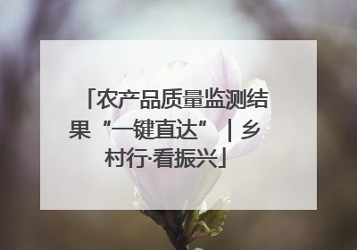 农产品质量监测结果“一键直达”｜乡村行·看振兴