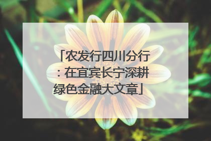 农发行四川分行：在宜宾长宁深耕绿色金融大文章