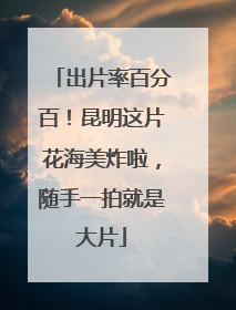 出片率百分百！昆明这片花海美炸啦，随手一拍就是大片
