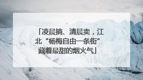 凌晨摘、清晨卖，江北“杨梅自由一条街”藏着最甜的烟火气