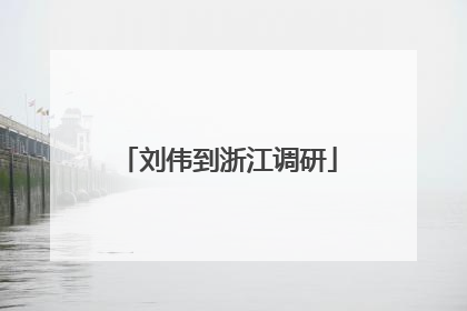 刘伟到浙江调研
