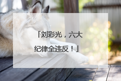 刘彩光，六大纪律全违反！