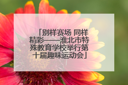 别样赛场 同样精彩——淮北市特殊教育学校举行第十届趣味运动会