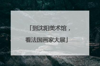 到沈阳美术馆，看法国画家大展