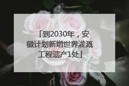 到2030年，安徽计划新增世界灌溉工程遗产1处