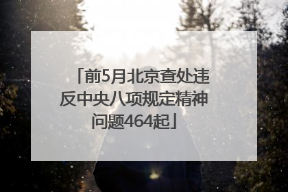 前5月北京查处违反中央八项规定精神问题464起