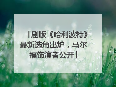 剧版《哈利波特》最新选角出炉，马尔福饰演者公开