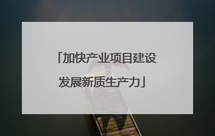 加快产业项目建设 发展新质生产力