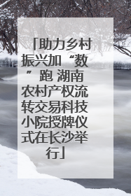 助力乡村振兴加“数”跑 湖南农村产权流转交易科技小院授牌仪式在长沙举行