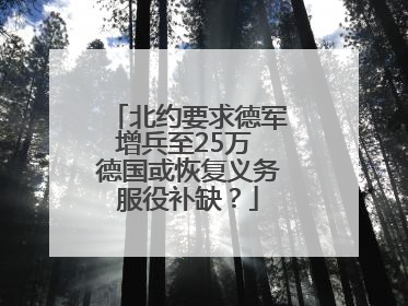 北约要求德军增兵至25万 德国或恢复义务服役补缺？