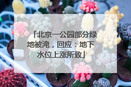 北京一公园部分绿地被淹，回应：地下水位上涨所致