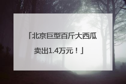 北京巨型百斤大西瓜卖出1.4万元！