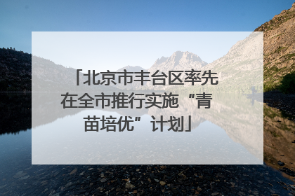 北京市丰台区率先在全市推行实施“青苗培优”计划
