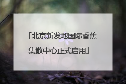 北京新发地国际香蕉集散中心正式启用