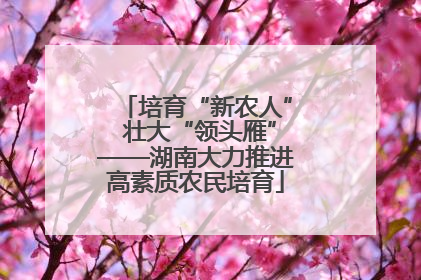 培育“新农人” 壮大“领头雁”——湖南大力推进高素质农民培育