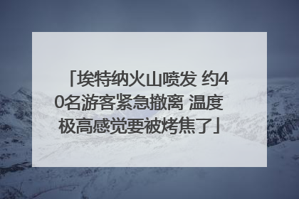 埃特纳火山喷发 约40名游客紧急撤离 温度极高感觉要被烤焦了